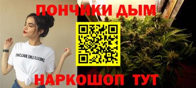 крисы Чебоксары