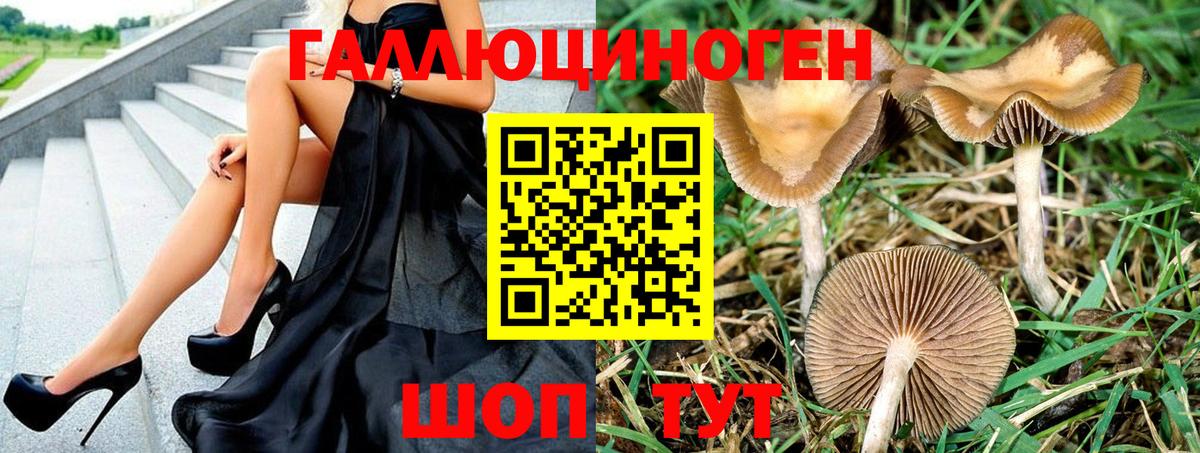 закладки  Вход с VPN  Псилоцибиновые грибы Psilocybine cubensis  Большой Камень  Псилоцибиновые грибы Psilocybe 