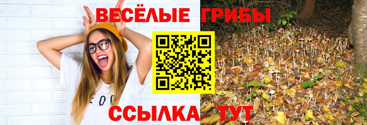 Галлюциногенные грибы мухоморы Большой Камень